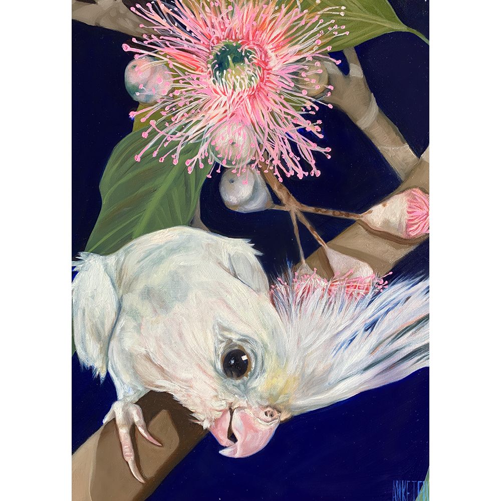 Better World Arts Category