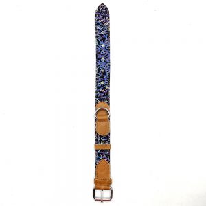 Dog Collar Small - 26 to 38 cm - 3 cm Wide-THU607