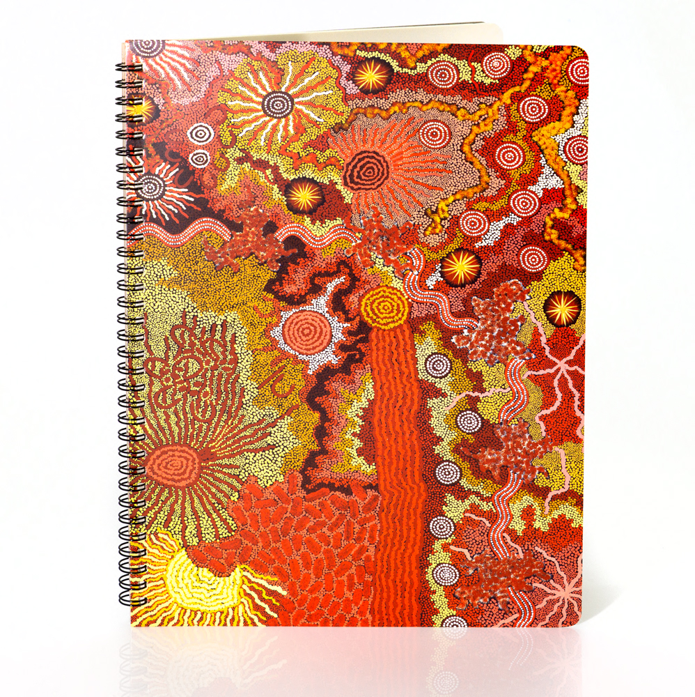 A4 Spiral Bound Notebook 100 pgs- 21 x 29.7cm - DYM931