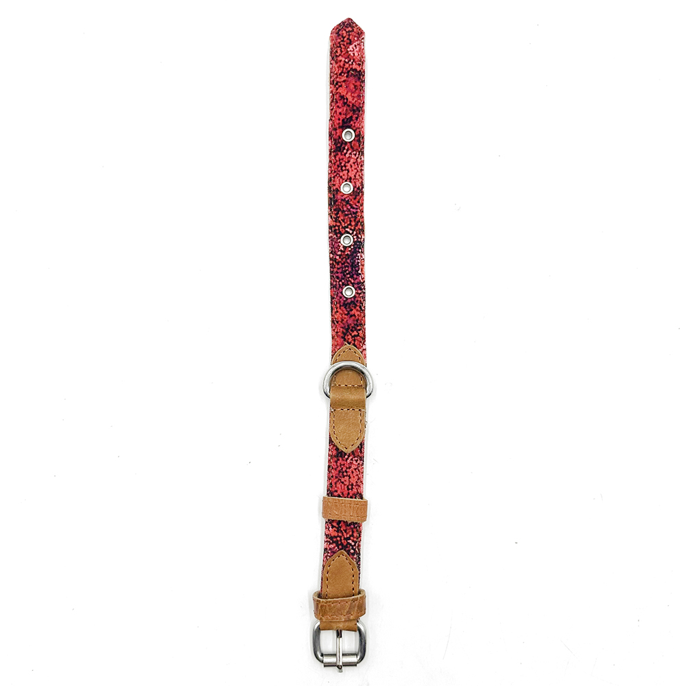 Dog Collar Medium - 35 to 47 cm - 3.5 cm Wide-AAD902