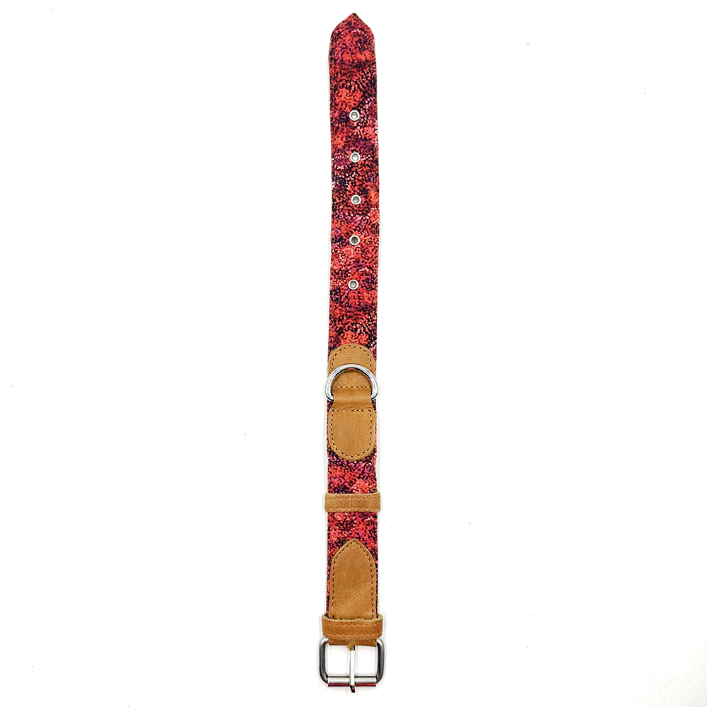 Dog Collar Small - 26 to 38 cm - 3 cm Wide-AAD902
