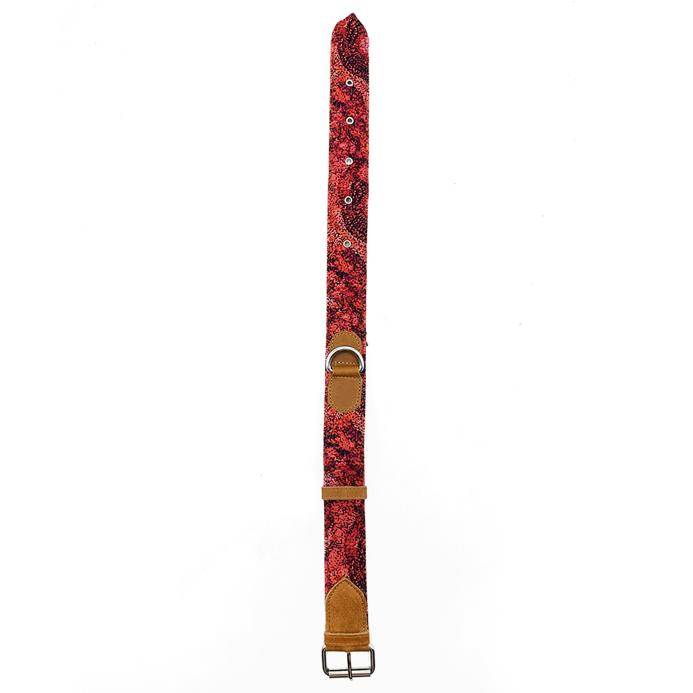 Dog Collar Extra Larg - 54 to 66 cm - 4 cm Wide-AAD902